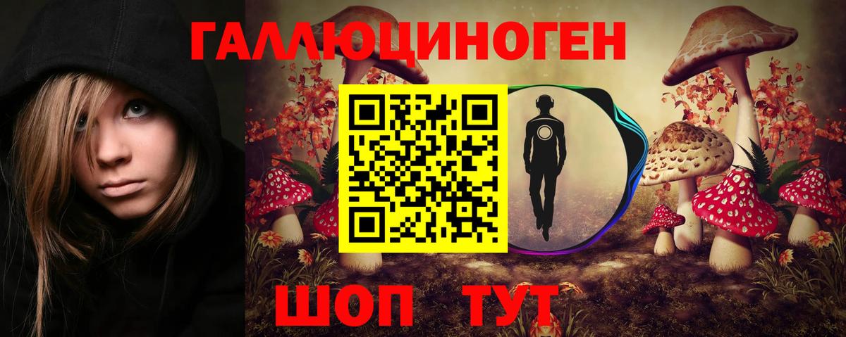 Галлюциногенные грибы GOLDEN TEACHER  Вход с VPN  Краснодар 
